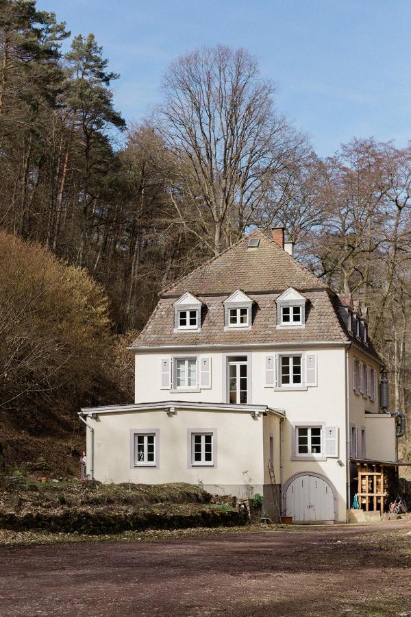 Die Talmuehle Neustadt an der Weinstraße エクステリア 写真